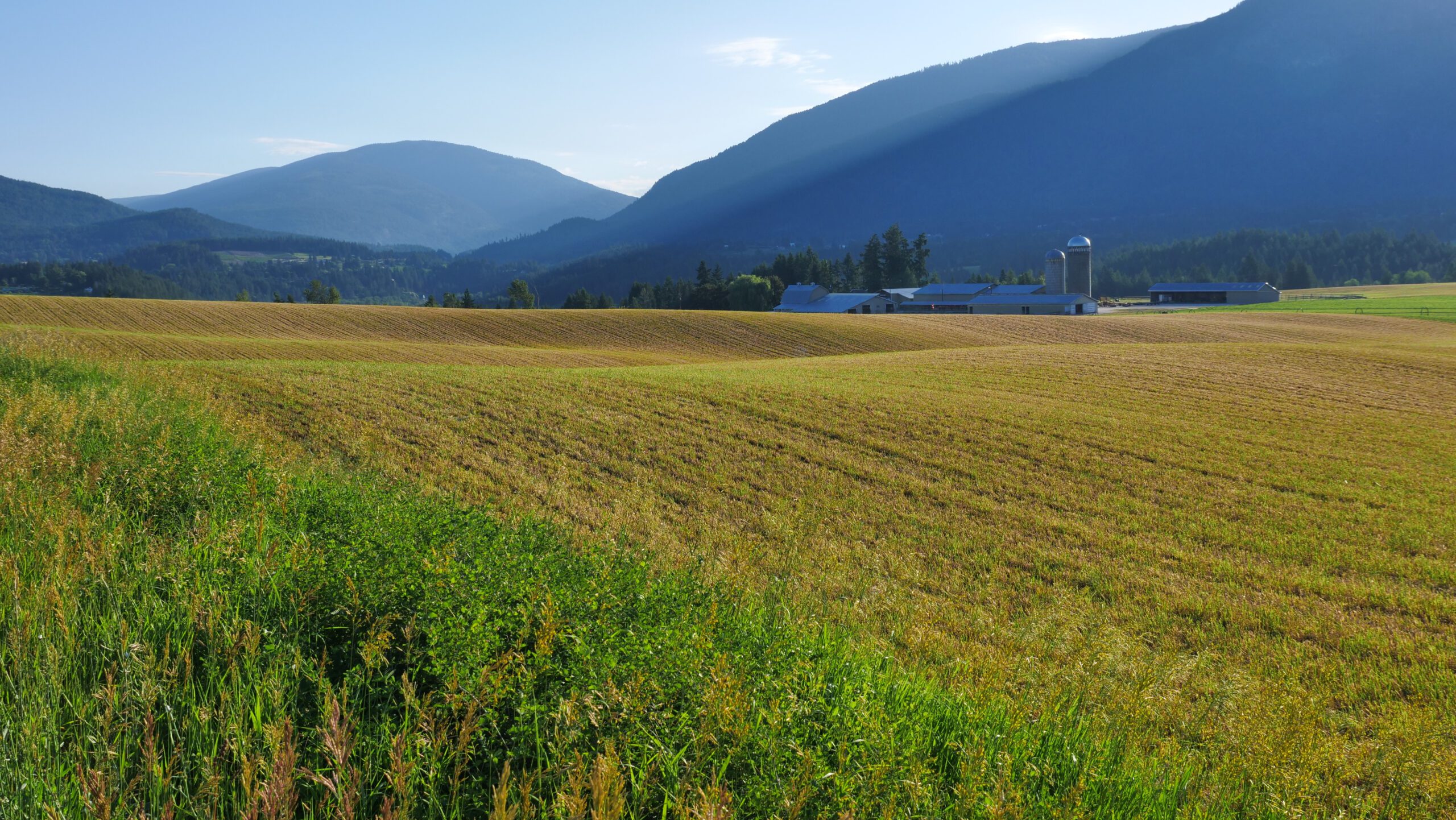 About Us Carolina Mountain Vacation Rentals